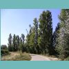 040928-210318.jpg