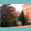 041001-145656.jpg